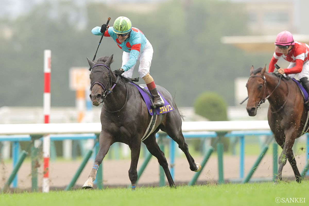 2025年菊花賞を制した時のエネルジコ（写真左）、5着レッドバンデ（写真右）