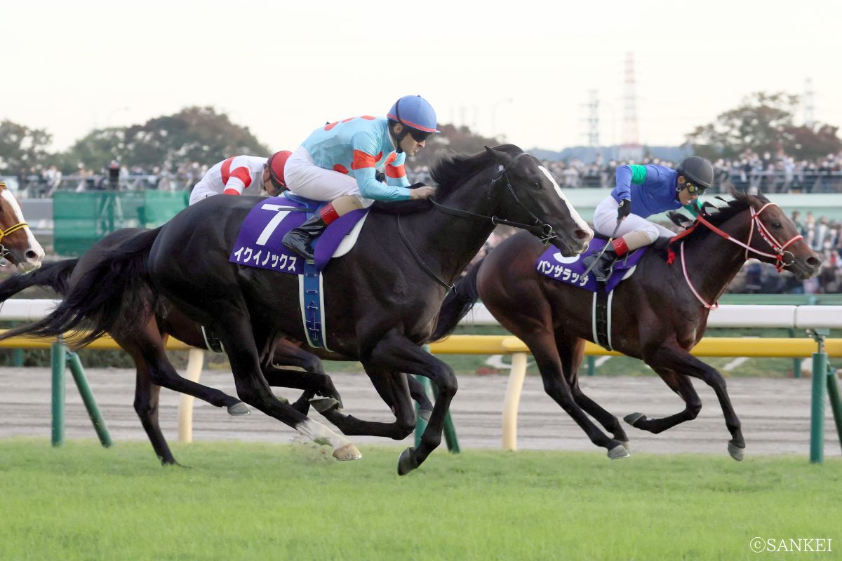 2022年天皇賞（秋）を制した時のイクイノックス