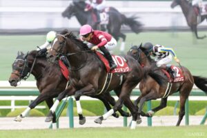 【菊花賞 前走レビュー】有力馬を独自視点で10段階評価！前走で抜群のパフォーマンスを披露したのは…？