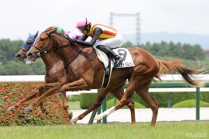 【WIN5研究所｜11月1日（土）】本線は15点勝負！混戦模様のファンタジーSは本線3頭買い