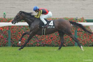 もう待ち切れない！今から本気で考える2025有馬記念（2）まずは菊花賞…ハードルは高いが実力は間違いなく本物