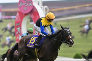 【秋華賞 枠順確定】エンブロイダリーは6枠11番、カムニャックは8枠17番