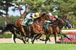 【今日の競馬 | 10月12日】アイルランドトロフィーの発走時間と出馬表 /秋の女王候補になるのは…