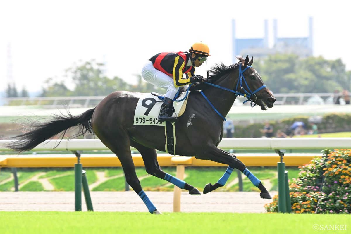 2025年10月5日未勝利戦を制したラフターラインズ