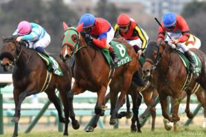 一昨年前の3着馬・ライラックの評価は？「差しが届く展開になるようであれば…」【アイルランドトロフィー予想】