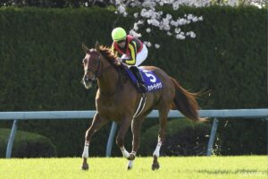 意外過ぎ…？クラシック無冠に終わった名馬（4）女傑の影に隠れた女傑…執念のG1・4勝