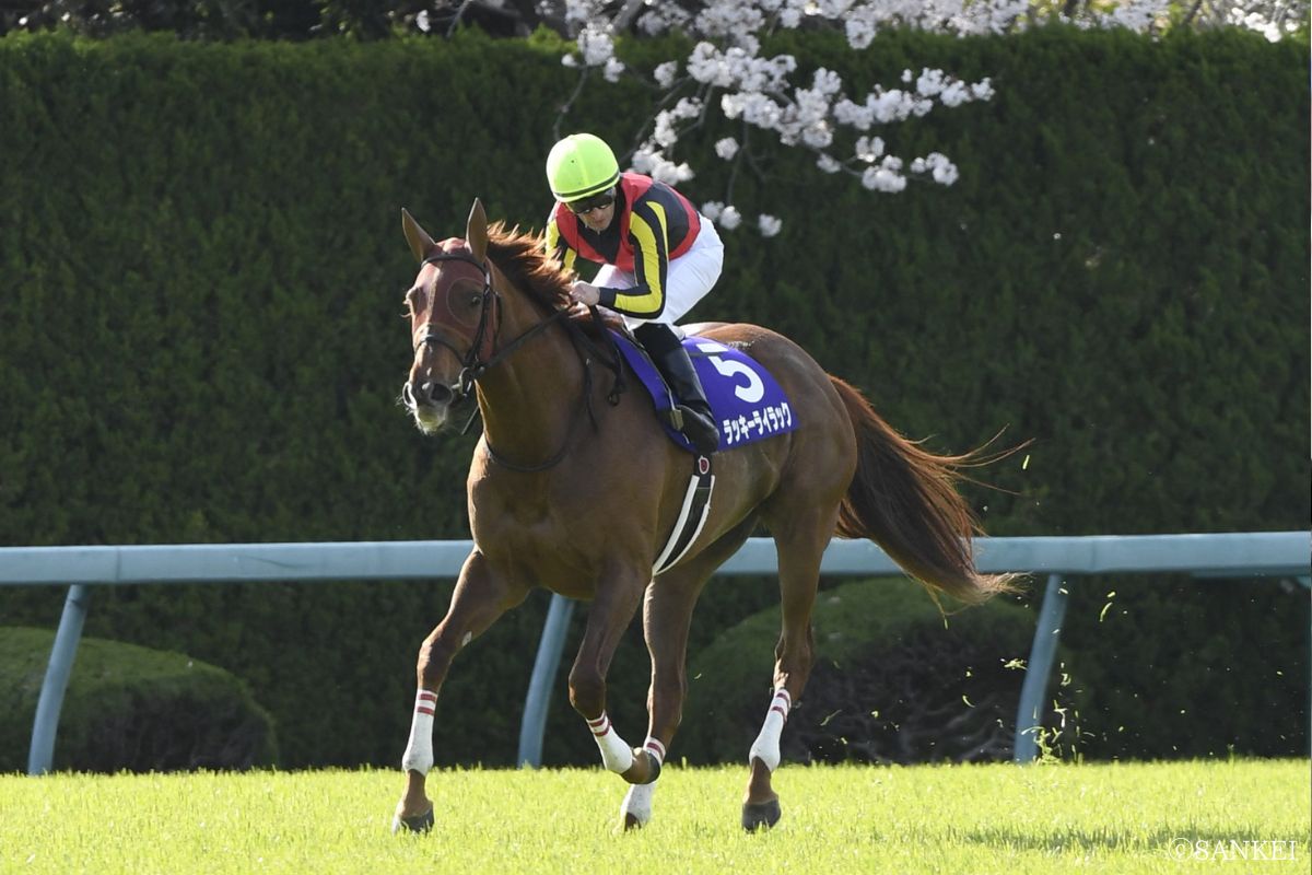 2020年大阪杯を制した時のラッキーライラック
