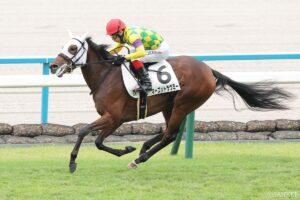 【阪神JF 能力分析】元トラックマンが有力馬を10段階評価！気になるマーゴットラヴミーなどの評価は？