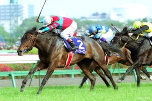 競馬に絶対は存在しない…G1単勝高配当ランキング（第7位）大荒れの牡馬C開幕戦！秋は全く違う意味での大波乱が…