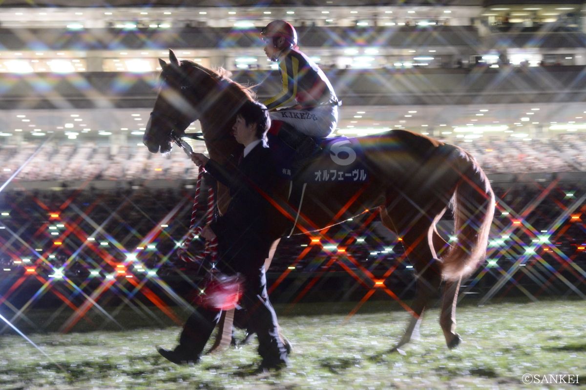 オルフェーヴル（2013年有馬記念後の引退式）