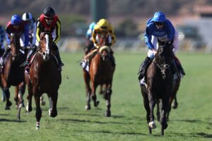 【アルゼンチン共和国杯 有力馬診断】◎・△候補を徹底分析！トップハンデのローシャムパークの評価は？