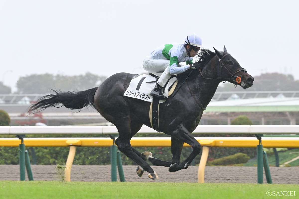2025年10月26日東京 2歳未勝利を制したリゾートアイランド