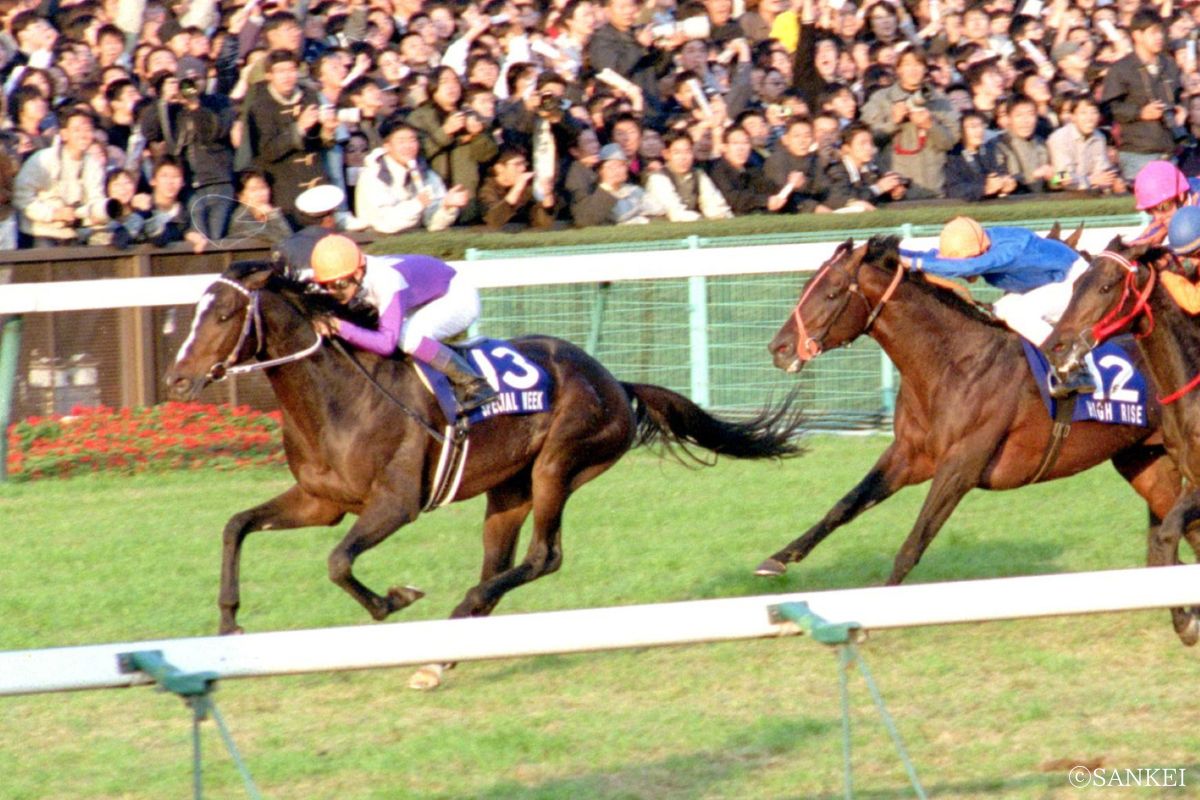 1999 nenn 1999年ジャパンカップを制したときのスペシャルウィーク(写真左)