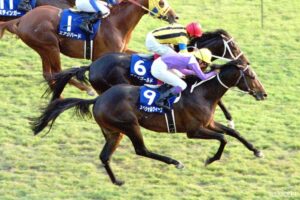 天皇賞春秋制覇を成し遂げた馬（2）タマモクロスから10年以上現…重い扉をこじ開けたのは第65代ダービー馬