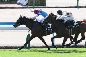 【学生馬券王決定戦 | 秋華賞】（1）京都大学競馬研究会の予想