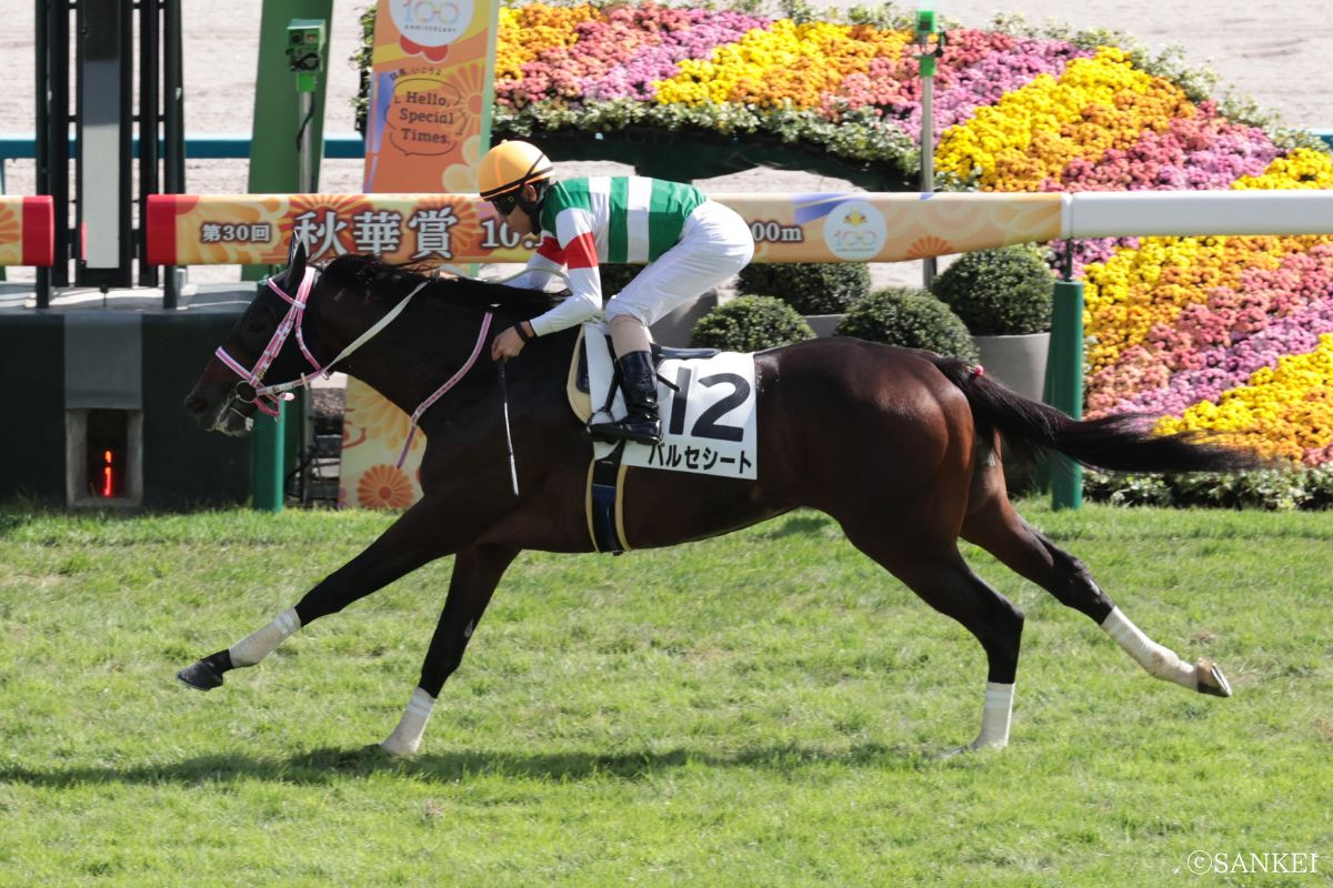 2025年10月13日新馬戦2025年10月13日新馬戦を制した時のバルセシート