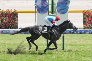 【日経新春杯・調教全頭診断】唯一のS評価はどの馬？注目馬ゲルチュタール、ヤマニンブークリエの仕上がりは？