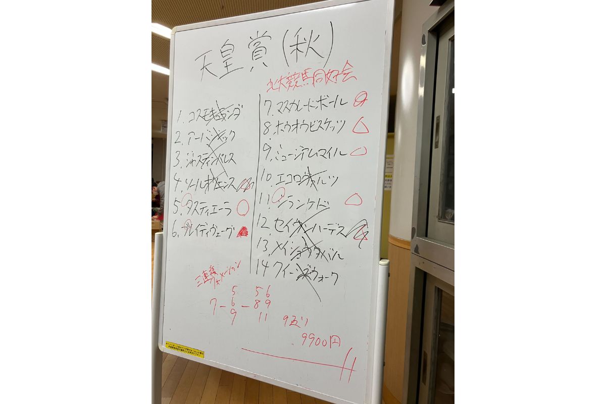 提供:北海道大学競馬同好会