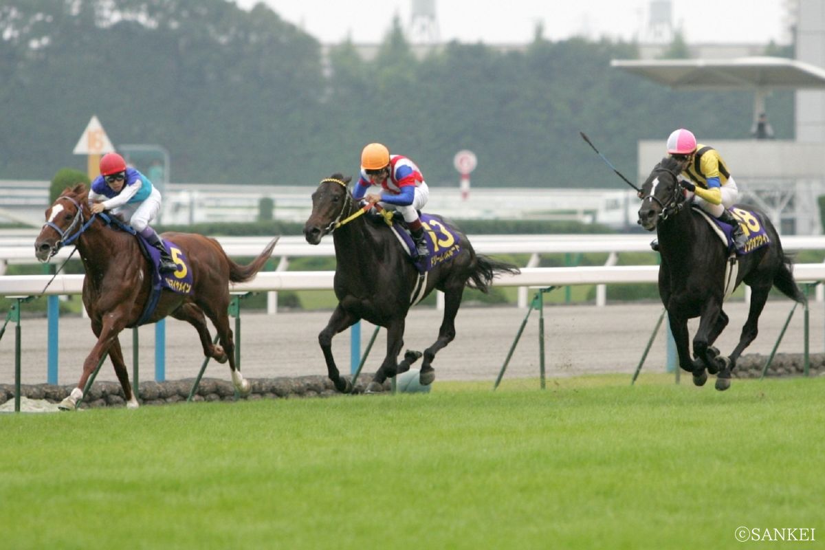 2006年菊花賞/1着ソングオブウインド(写真右)、3着アドマイヤメイン(写真左)