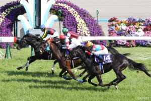 武豊VS幸四郎！バチバチの兄弟騎手対決を制したのは…（5）兄弟そろって掲示板に乗った最後の戦い…1番人気はキズナ