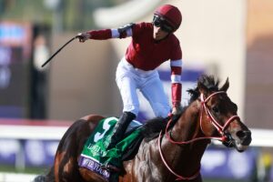 【国内外・SNSの反応】「superstar」「凄すぎる！」フォーエバーヤング、BCクラシック制覇！