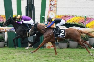 【東大流・ポテンシャル分析 京王杯2歳S】もみじS2着ダイヤモンドノットが中心