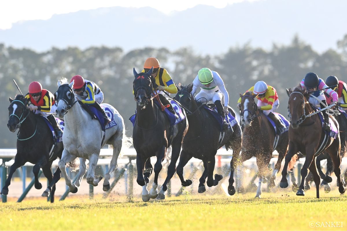 2025年マイルCSを制した時のジャンタルマンタル