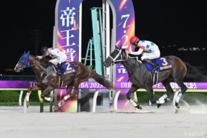 【今日の競馬 | 11月9日（日）】みやこSとアルゼンチン共和国杯の出馬表/発走時間