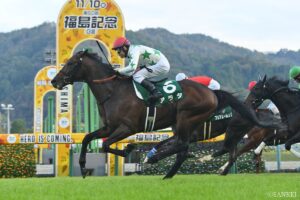 【福島記念｜馬番別成績】クリスマスパレードの1枠1番、アラタの7枠13番の成績は…？