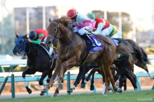 予想に有益！母父ディープインパクトと好相性の種牡馬（3）種牡馬としては地味？だが、数字が語る相性の良さ