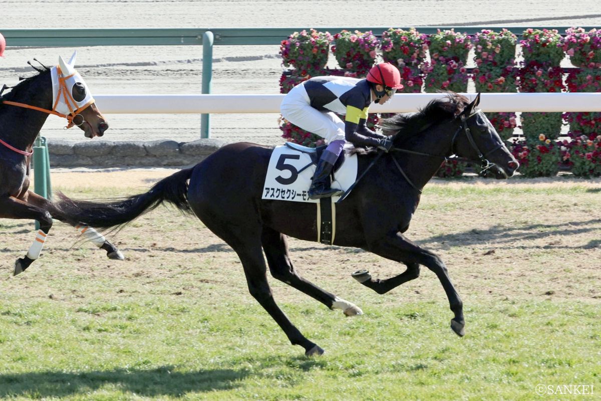 2025/1月18日3歳未勝利（中京）/1着アスクセクシーモア