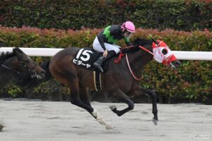 【武蔵野S 調教診断】S評価は2頭！注目のコスタノヴァ、ビダーヤの評価は？