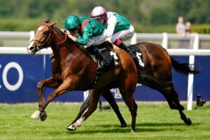 【WIN5研究所】11月30日（日）本線は24点！メインのジャパンカップは、世界ランク1位を中心に…