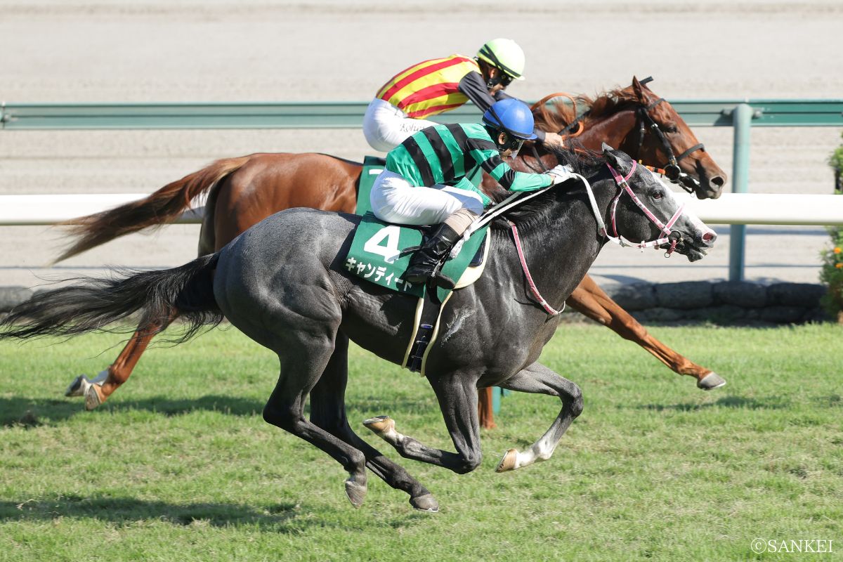2025年中京2歳Sを制した時のキャンディード
