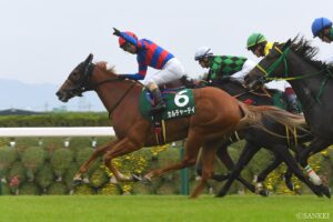 【登録馬】カペラS