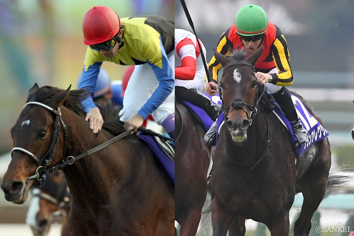 ディープインパクト(写真左)とグランアレグリア(写真右)