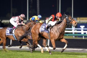 【絶体絶命のピンチを突破した名馬 5選】万事休す…？ジェンティルドンナなどが経験した執念の大逆転劇