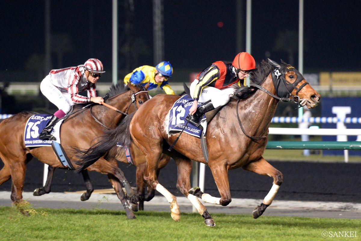 2014年ドバイシーマクラシックを制した時のジェンティルドンナ