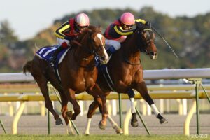 牡馬をも圧倒…ジャパンカップを制した牝馬たち（3）革命の四冠！競馬史に名を刻んだ頂上決戦