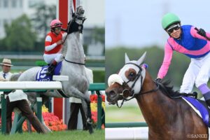 まさか、こんな子が生まれるなんて…父と子でタイプが違う馬（5）まくりの父と逃げの息子…宝塚記念を父子制覇