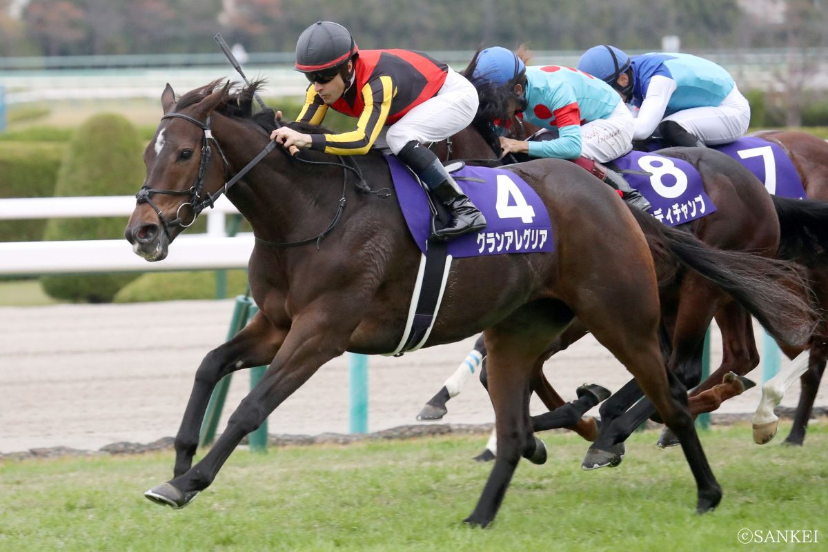 2020年マイルCSを制した時のグランアレグリア