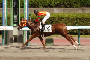 名馬量産！産駒成績が素晴らしい繁殖牝馬（3）馬主としても大成功！「ハマの大魔神」を支えた名牝