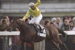 来てくれるだけで尊い！ジャパンカップに挑んだ凱旋門賞馬（2）大楽勝したエリシオが参戦！堂々の1番人気になったが…