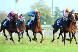 【ジャパンカップに挑んだ凱旋門賞馬 5選】来てくれるだけで尊い！頂点を極めた海外の強豪馬たち