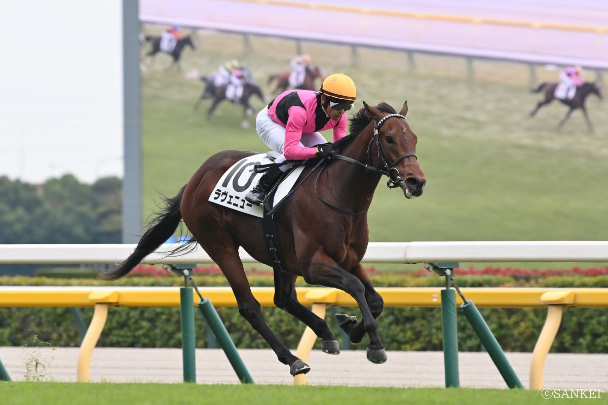 2025年11月8日東京2歳新馬/1着ラヴェニュー