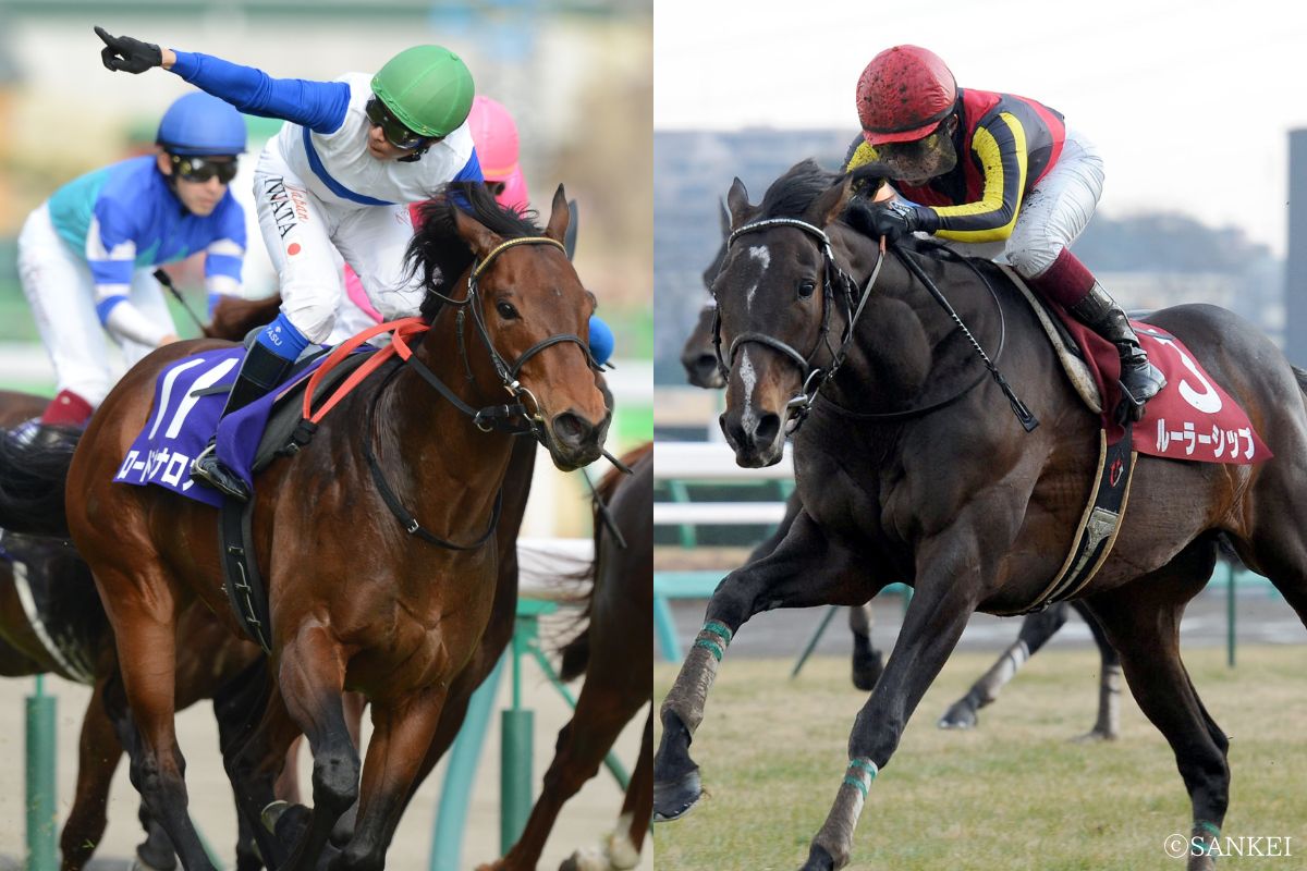 ロードカナロア（写真左）とルーラーシップ（写真右）