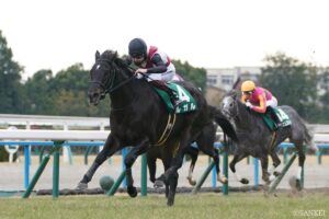 GⅢシルクロードステークス【過去の結果 – 1980年以降 ｜ 重賞データ 】