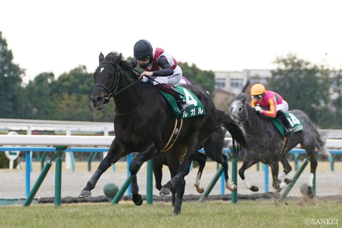 2024年シルクロードSを制したルガル