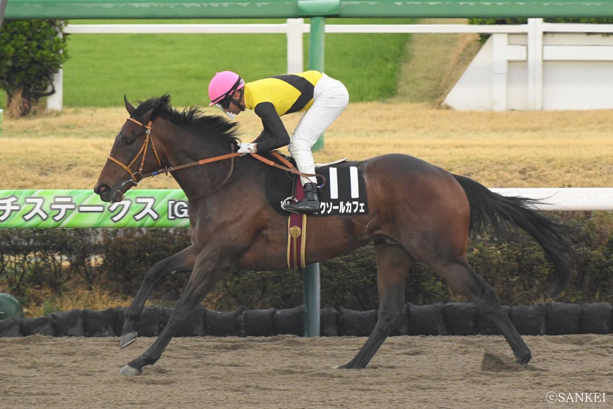 2025年伏竜Sを制した時のルクソールカフェ