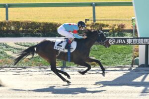 【東大流・次世代スター発掘】マクリールに★５　「東京ダ1600m良馬場の2歳戦としてはレモンポップに次ぐ歴代2位の勝ち時計」